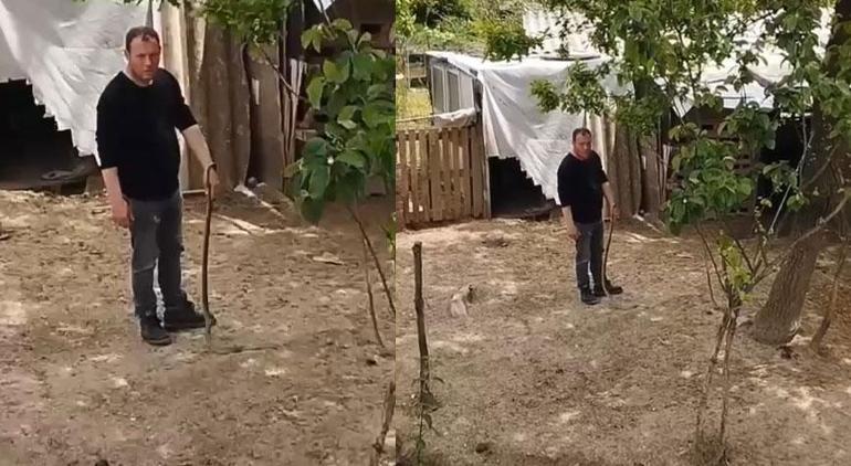 Bahçesine giren yılanı eliyle yakaladı Metre uzunlukta