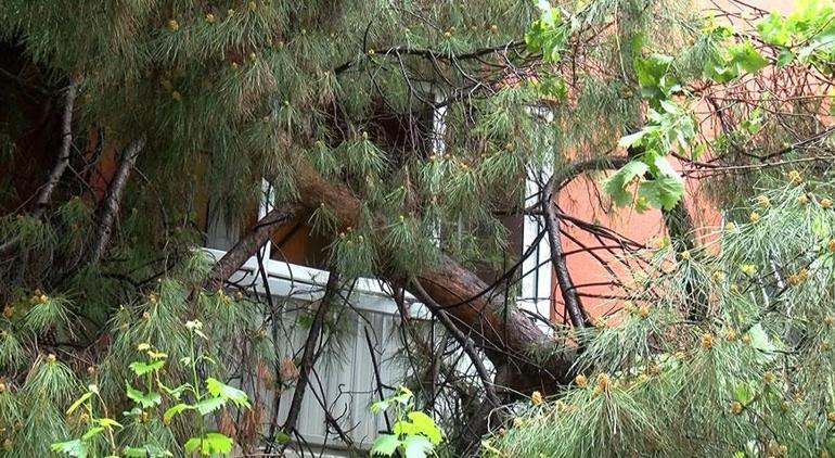 Devrilen ağacın dalları bir dairenin balkonundan içeri girdi