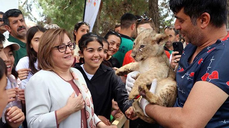 Cumhurbaşkanı Erdoğana hediye edilen aslanların dördüzleri oldu