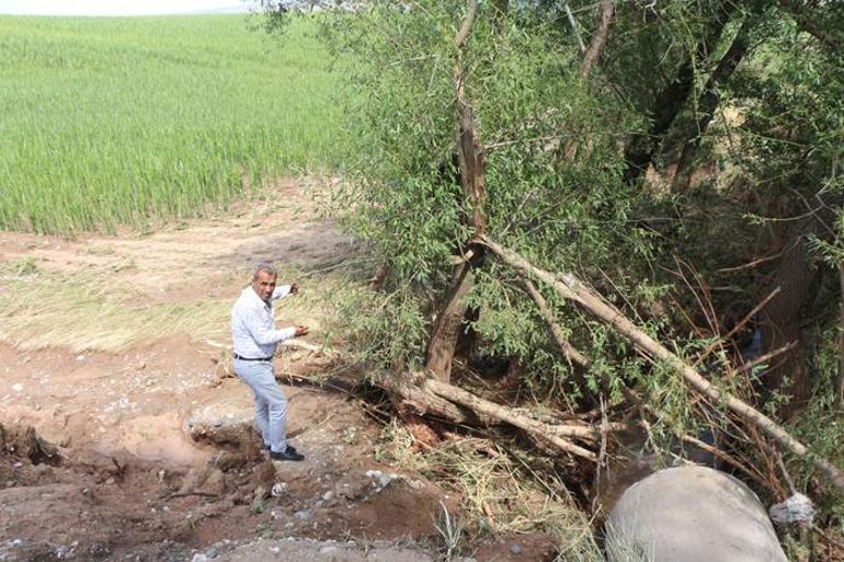 Batmanda dolu kabusu Ağaçlar devrildi, araziler zarar gördü, hayvanlar öldü