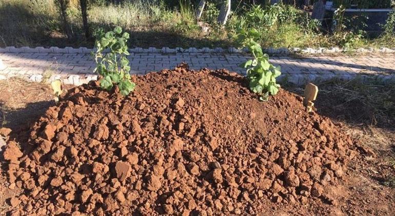 Çocuklarının mezarını paylaşamadılar Acılı anne oğlunun naaşının kaçırıldığını iddia etti