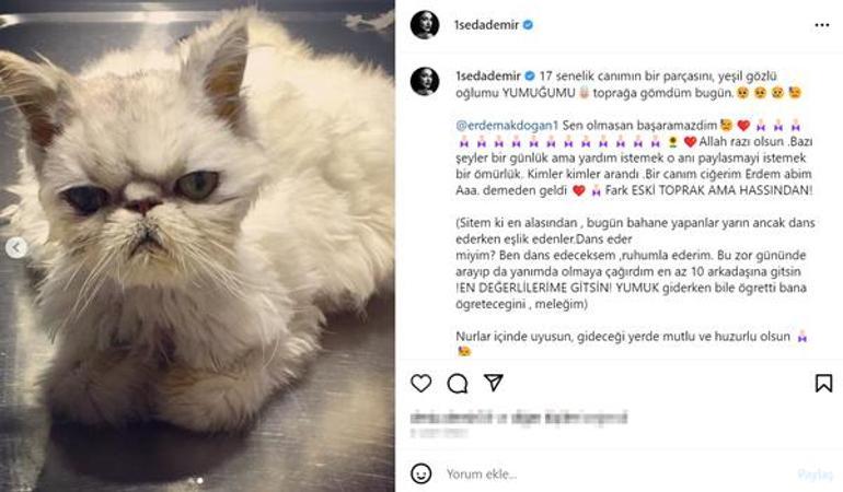 Seda Demir kedisi Yumuku kaybetti