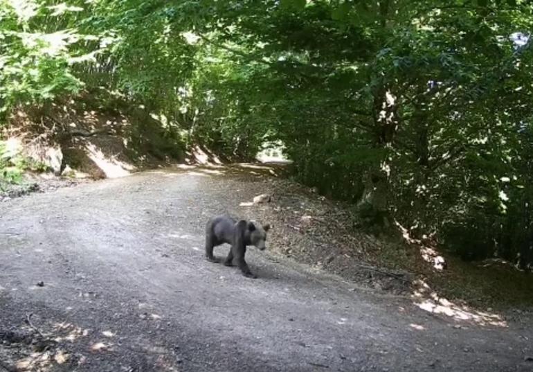 Fotokapanlara poz verip yakınlarına selam gönderdiler