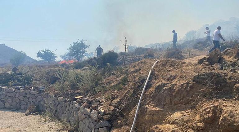 Bodrumda yangın 20 dönüm makilik zarar gördü
