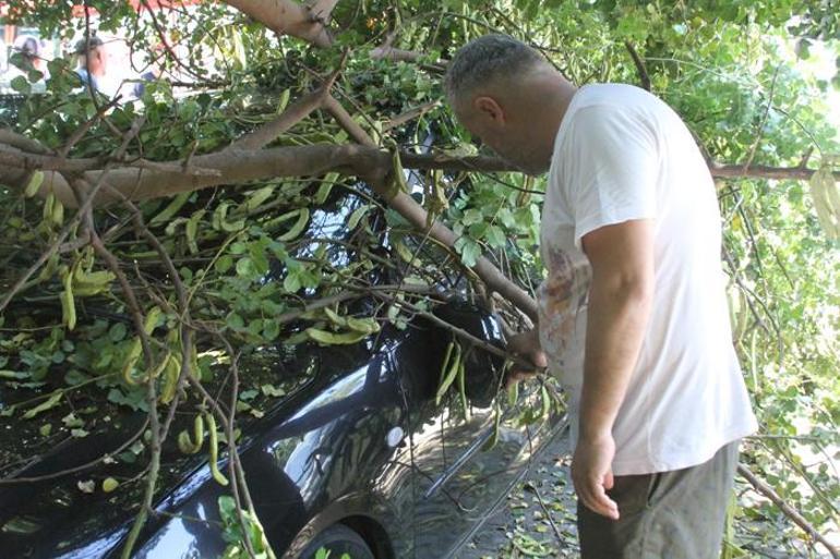 Tatile geldiği Antalyada, otomobilinin üzerine ağaç devrildi