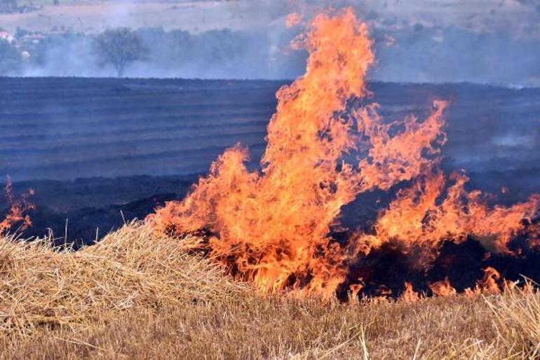 Edirnede 250 dönüm buğday tarlası yandı