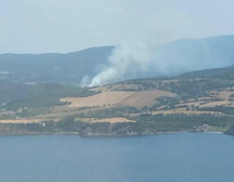 Çanakkalede orman yangını