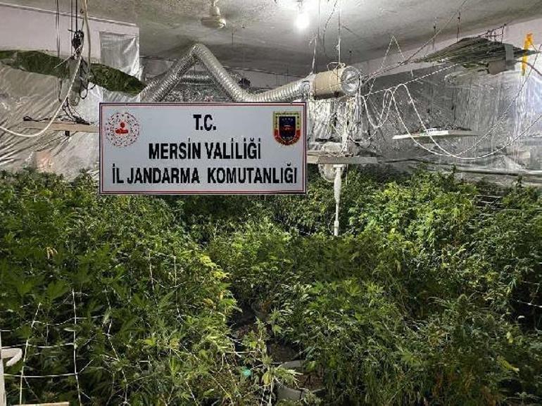 Yer: Mersin Bahçesine sistem kurup, uyuşturucu üreten şüpheli yakalandı