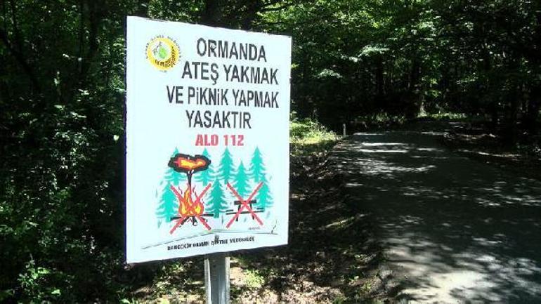 İstanbulda ormanlar için alarm Yasaklar yangınları yüzde 70 azalttı