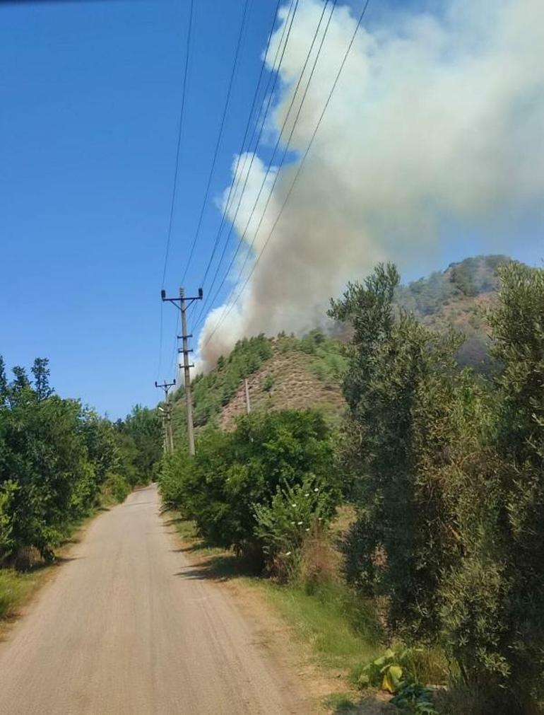 Muğlada orman yangını Ekipler bölgede