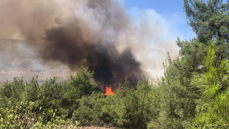 Adanadaki orman yangınları kontrol altına alındı