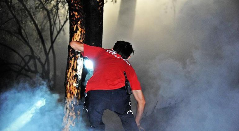 Bursada orman yangını Sorumlusu belli oldu, yakalandı