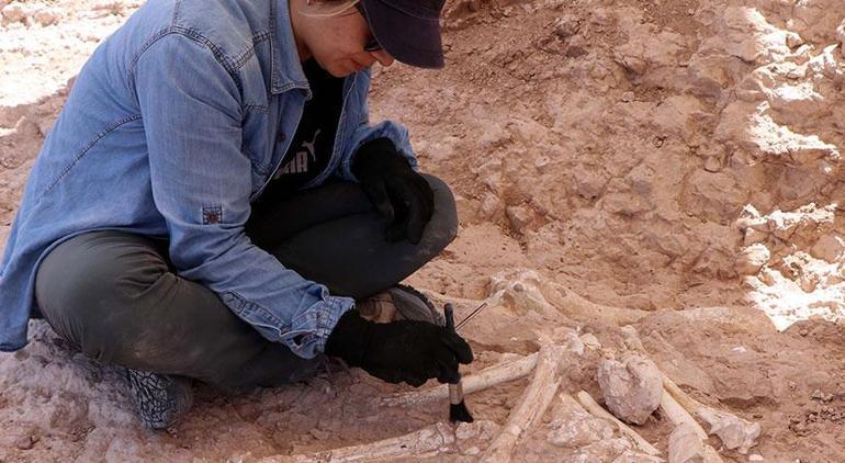 Kayseri’de heyecanlandıran keşif Tam 7,5 milyon yıllık