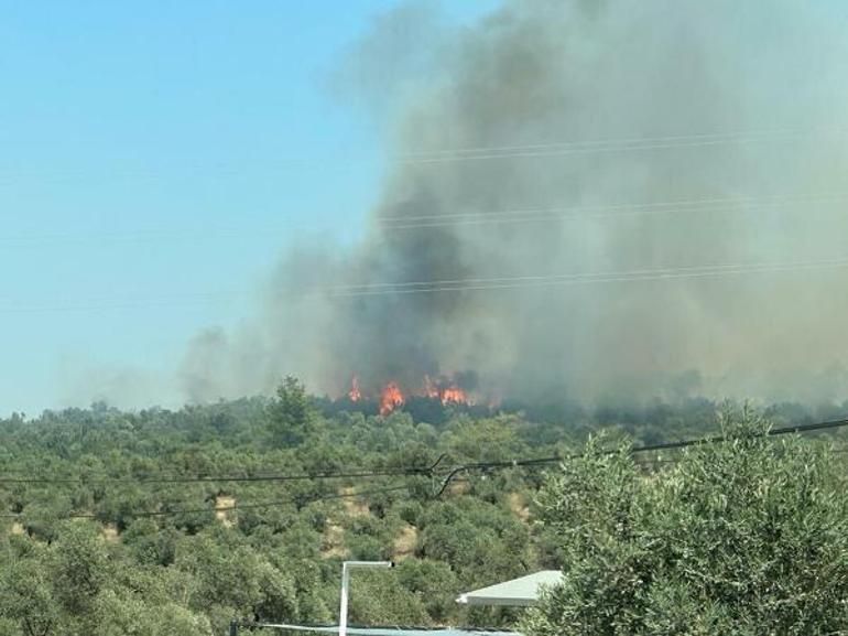 Milasta orman yangınında son durum Bakan Yumaklı açıkladı