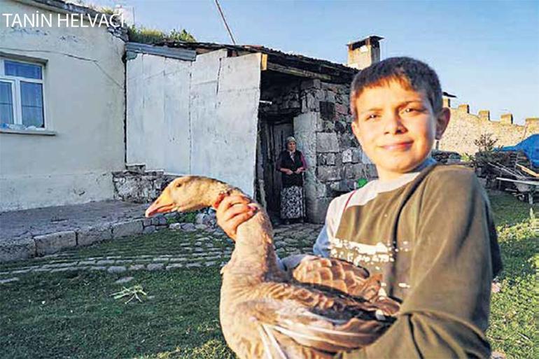 Şimdiki Zamanın Hikayesi