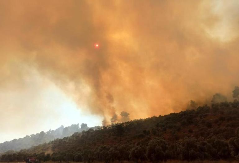 Bakan Yumaklıdan Muğladaki orman yangınıyla ilgili açıklama Vatandaşlara çağrı yaptı