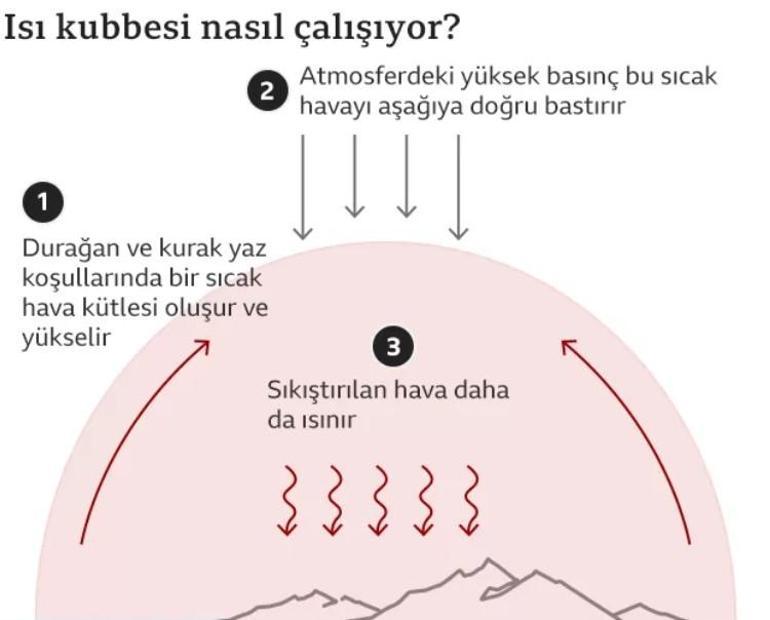 Dünya aşırı sıcakların pençesinde 4 ana nedeni var hepsi korkunç