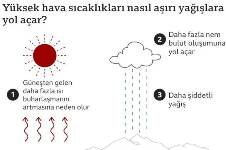 Dünya aşırı sıcakların pençesinde 4 ana nedeni var hepsi korkunç