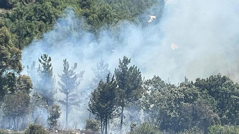 İki kentte orman yangını Ekipler müdahaleye başladı