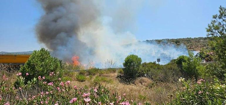 Sorumsuzluk yangına neden oldu Milasta 160 hektar küle döndü