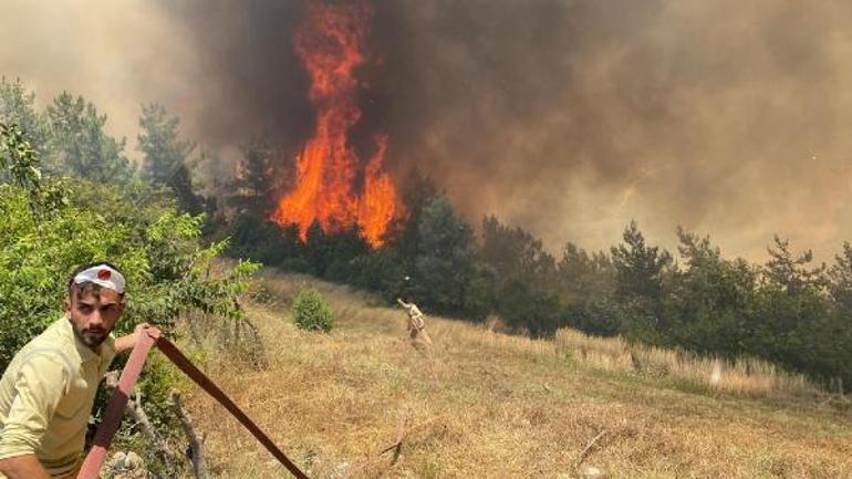 İki kentte orman yangını Ekipler müdahaleye başladı
