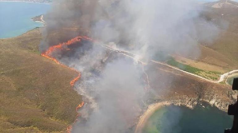 Avşa Adasında otluk arazide yangını