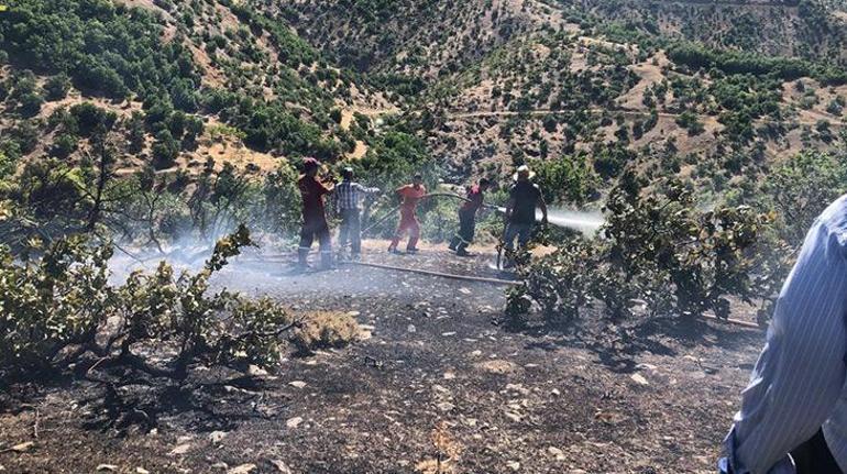 Bingöl’deki orman yangını söndürüldü