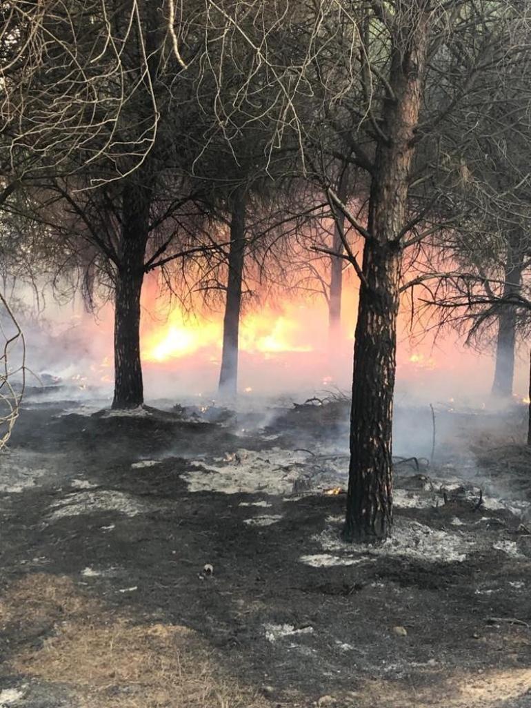 Gökçeada’daki orman yangını 16 saatte kontrol altına alındı