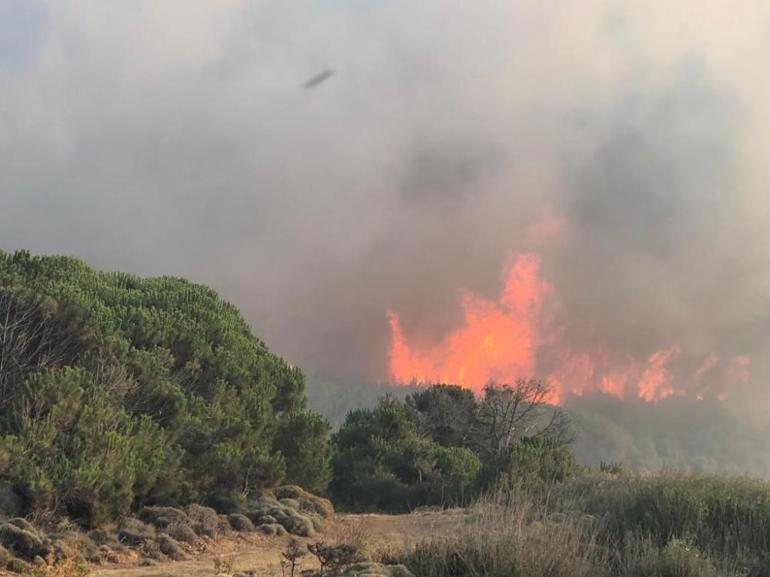 Gökçeada’daki orman yangını 16 saatte kontrol altına alındı