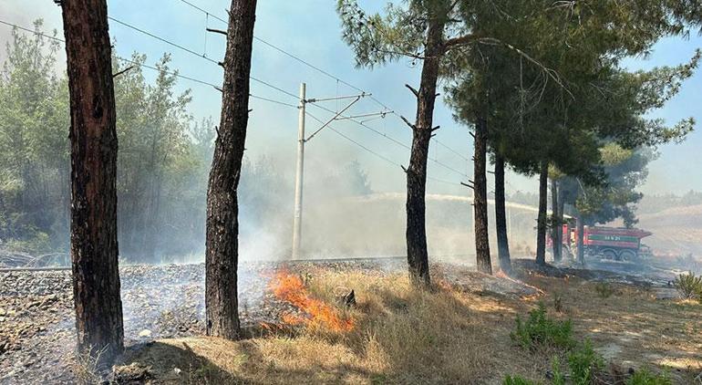 Adana ve Mersindeki yangınlar kontrol altına alındı