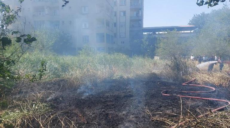 Siirtteki mezarlıkta yangın; ağaçlar zarar gördü