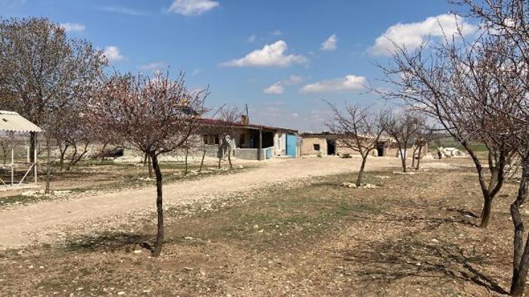 3 yaşındaki kızını öldürdü, kendi boğazını kesti Kan donduran sözler