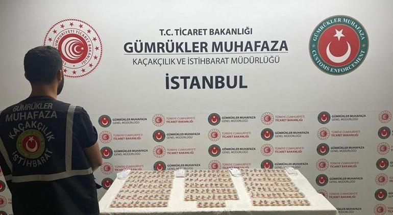 Tam bin 240 canlı arı Sabiha Gökçen Havalimanı’ında ele geçirildi