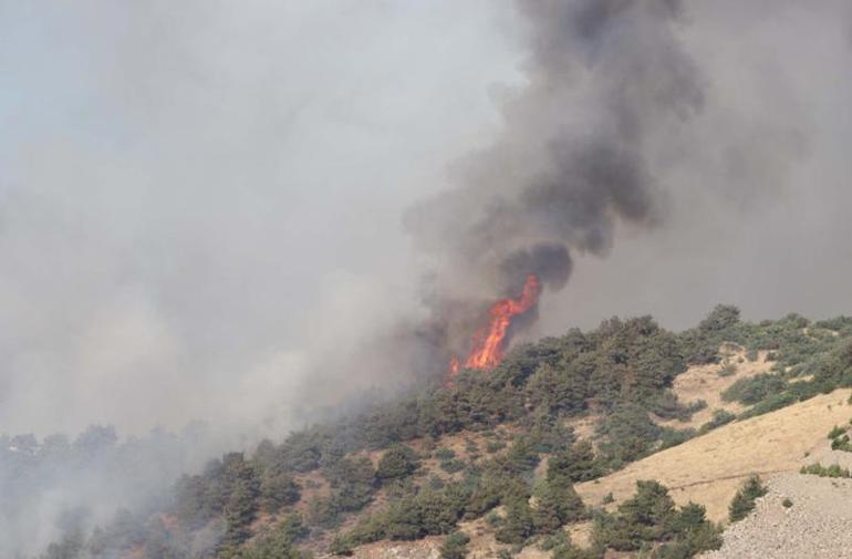 Gaziantep orman yangınında son durum Kontrol altına alındı