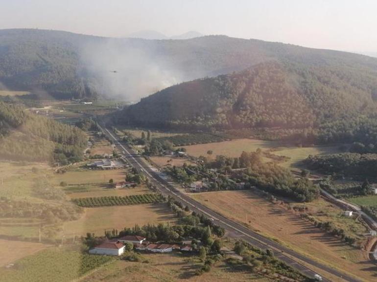 Gaziantep orman yangınında son durum Kontrol altına alındı