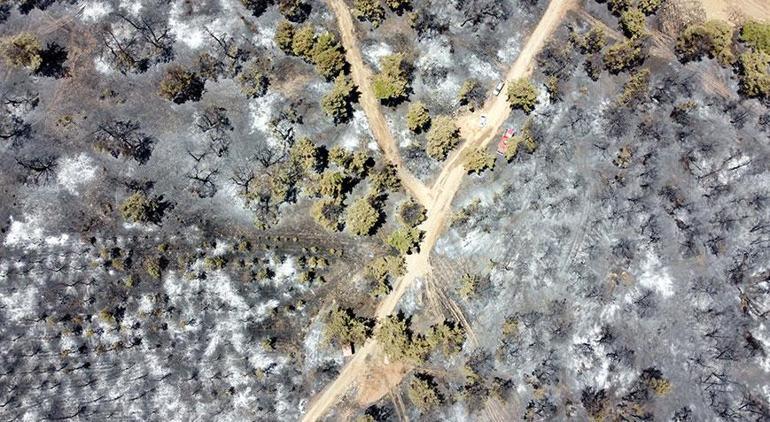 Gaziantepteki yangınında 58 hektar alan zarar gördü