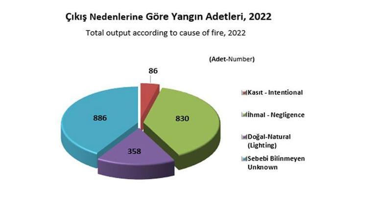 20 günde 295 orman yangını çıktı Acı bilanço netleşti
