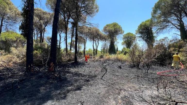 Antalyada orman yangını, yarım saatte söndürüldü