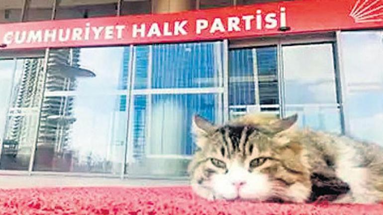 Şero bile pisliğini örter