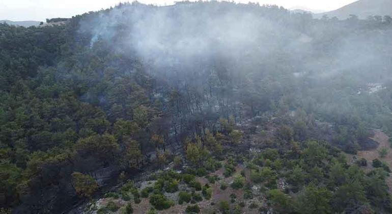 Çanakkale’deki yangın 16 saat sonra kontrol altına alındı