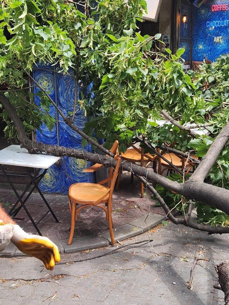 Beyoğlunda faciadan dönülen anlar kamerada: Ağaç devrildi, çevredekiler son anda kurtuldu