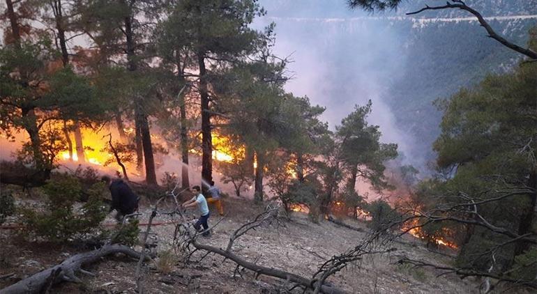 Boluda düşen yıldırım yangına sebep oldu Ekipler müdahale ediyor