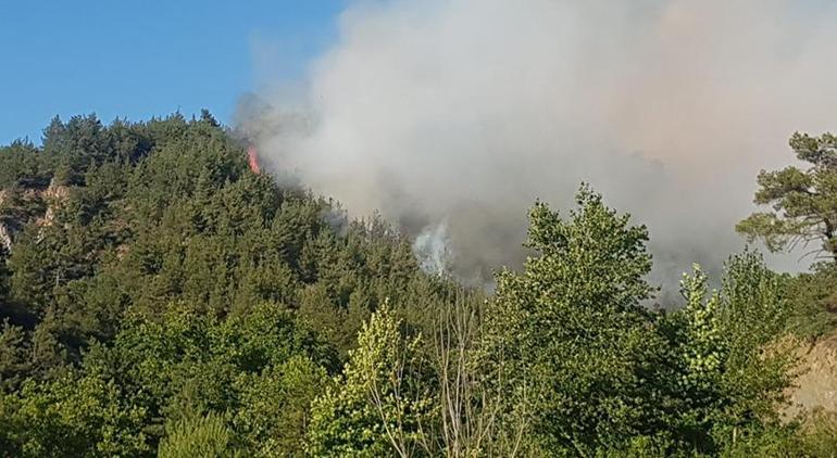 Sakarya’daki orman yangını kontrol altına alındı