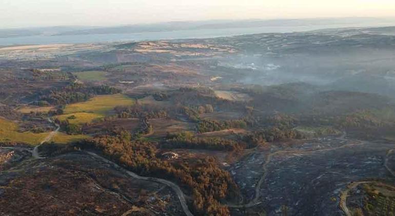 52 saat sonra kontrol altına alındı Çanakkaledeki yangının acı bilançosu