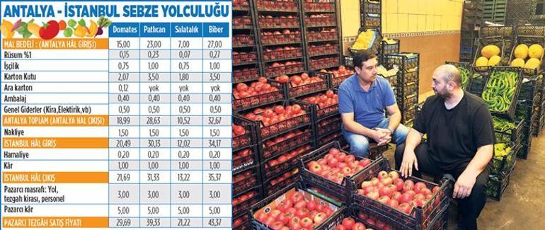 100 adımda domates fiyatı 2 katına çıkıyor