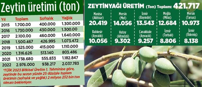 ‘Zeytinlik alanlarda iklimden hızlı olalım’