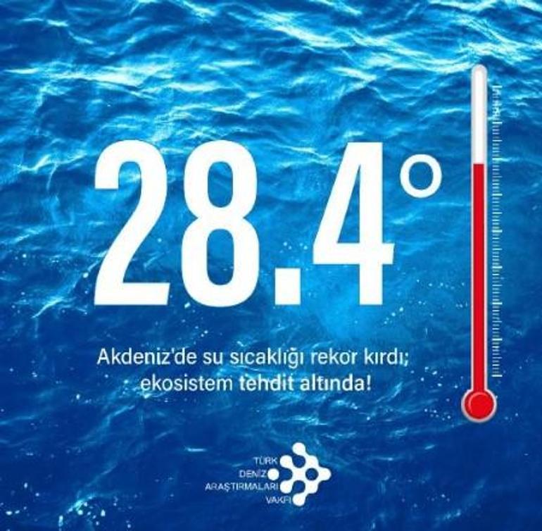Akdenizde rekor Yüzey suyu sıcaklığı 28,4 dereceye çıktı