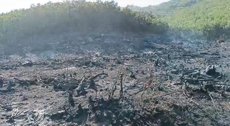 Malatya ve Siirt’te orman yangını Biri 7 diğeri 15 saatte kontrol altına alındı