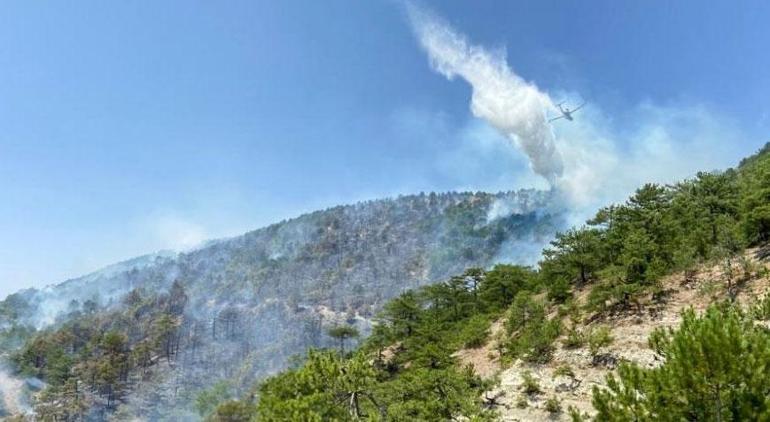 Peş peşe orman yangını haberleri Ekiplerin müdahalesi sürüyor