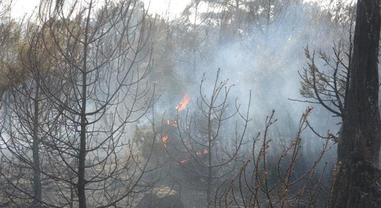 Peş peşe orman yangını haberleri Ekiplerin müdahalesi sürüyor